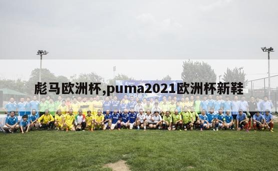 彪马欧洲杯,puma2021欧洲杯新鞋